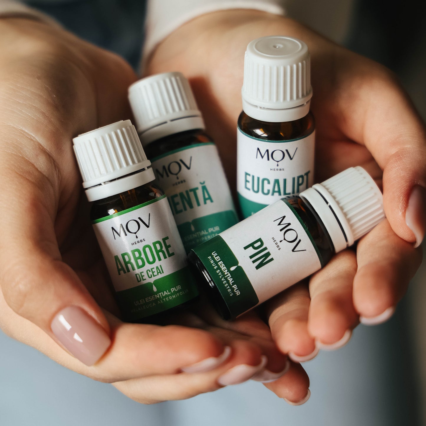 Ulei Esential de Pin 10ml