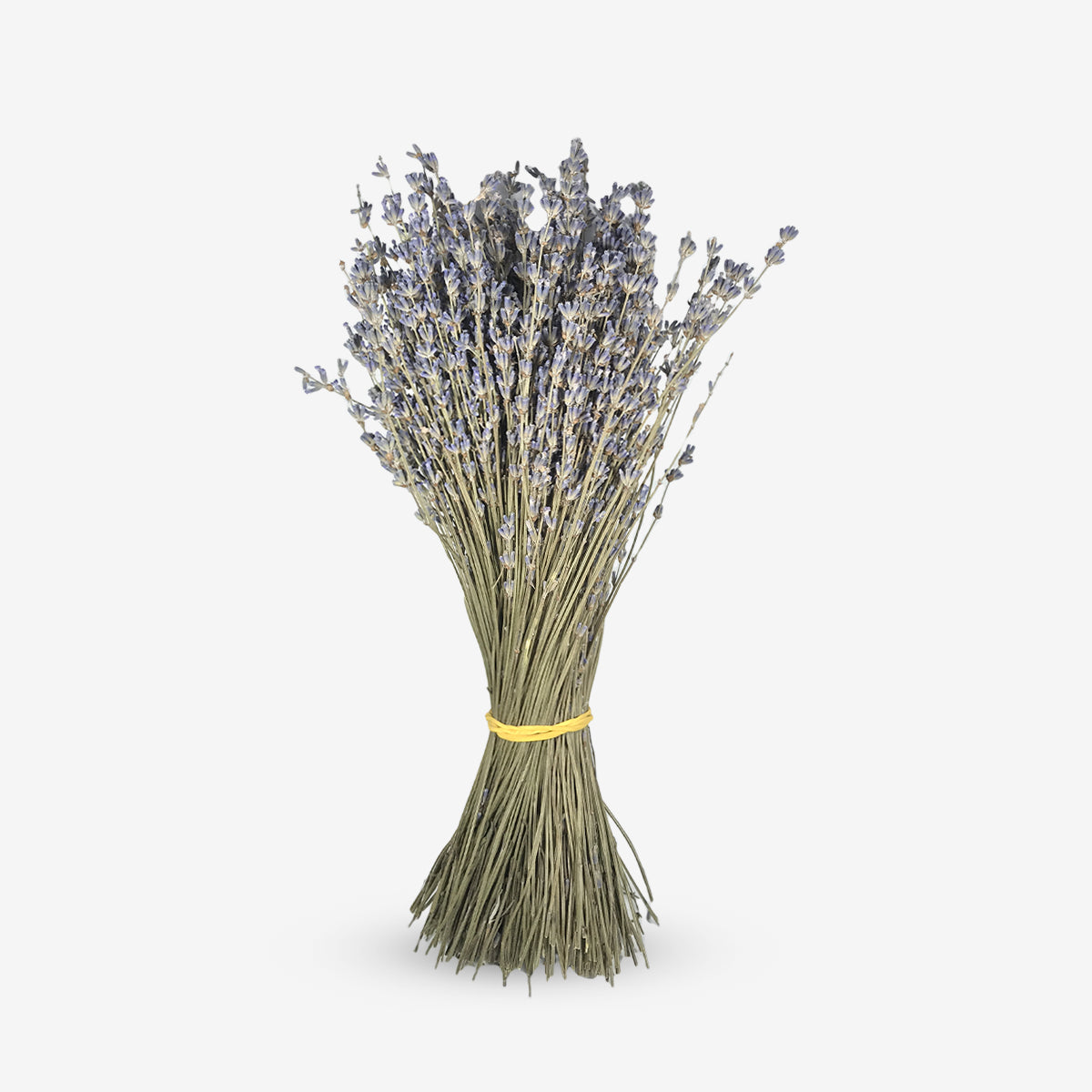 Buchet de Lavanda Pro