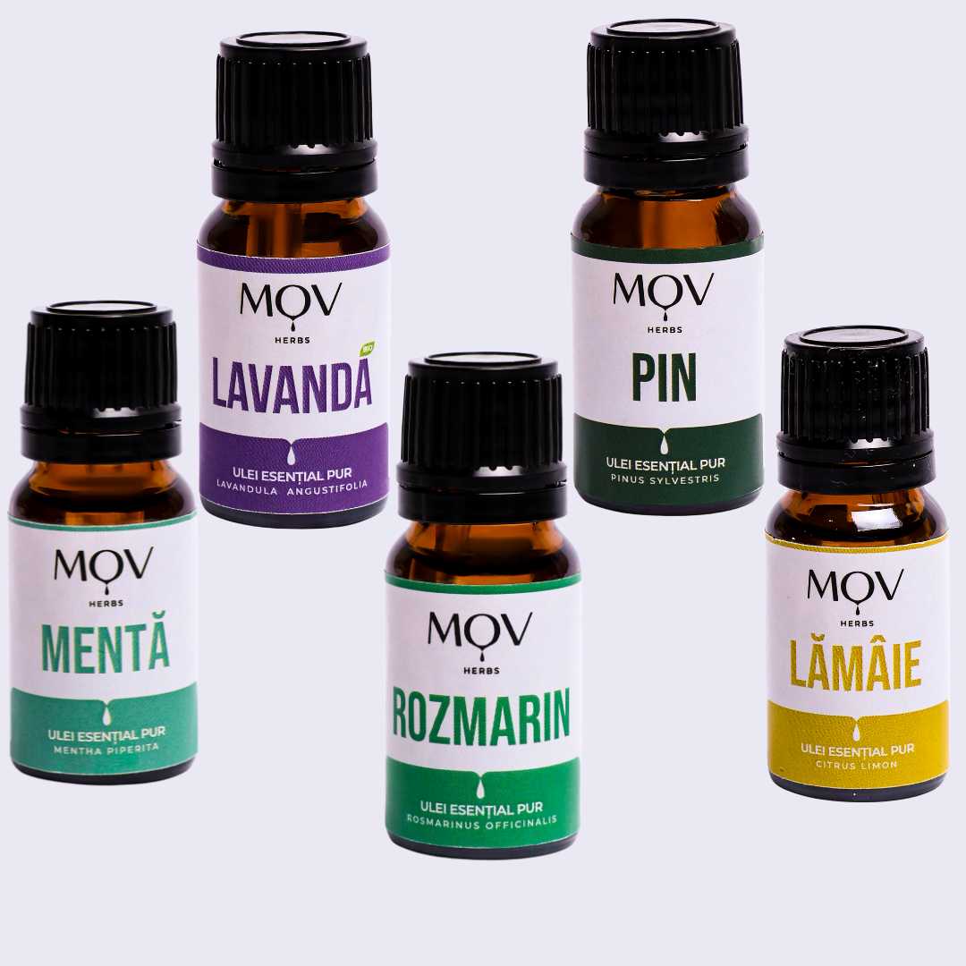 Set pentru Saună – Rozmarin, Lămâie, Lavandă, Pin și Mentă