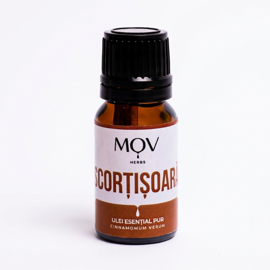 Ulei Esential de Scortisoara 10ml