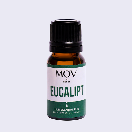 Ulei Esential de Eucalipt 10ml