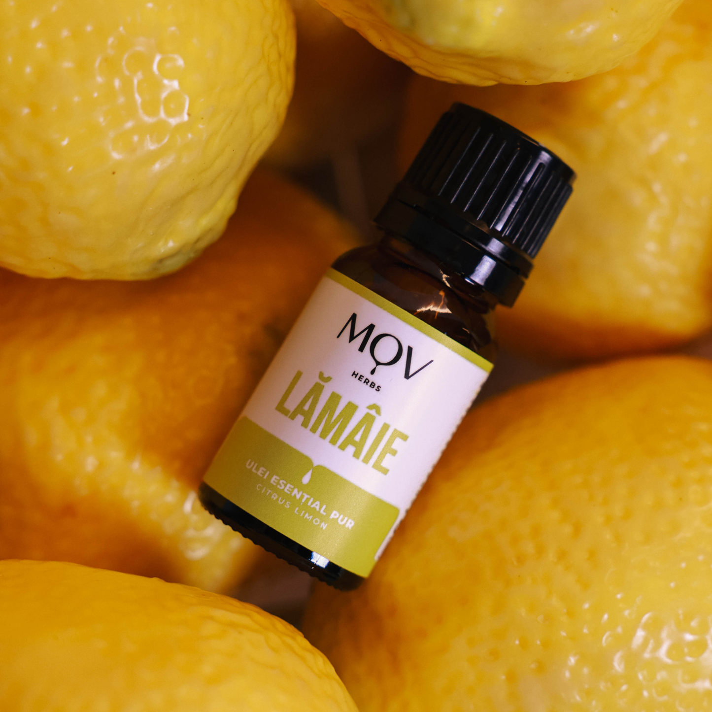 Ulei_esential_de_lamaie_Mov_Herbs